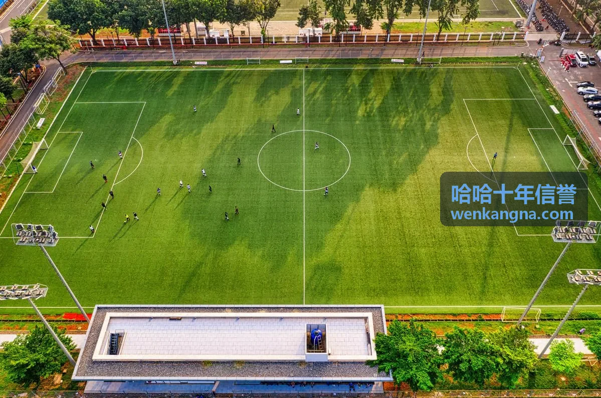 哈哈十年信誉参与路径与进度节点示意