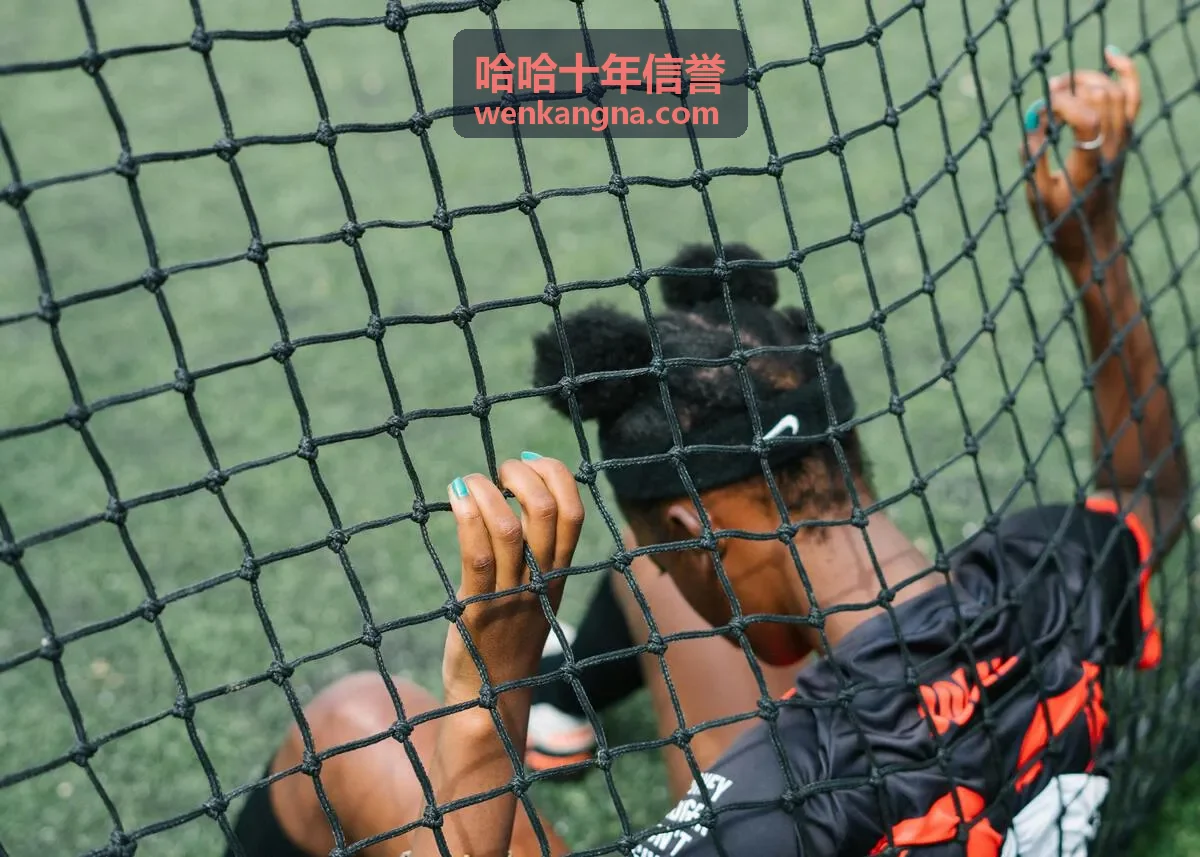 哈哈十年信誉历程核对与记录回看示意